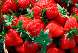 Frutillas