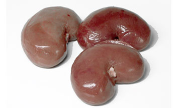 Menudencias - Riñones